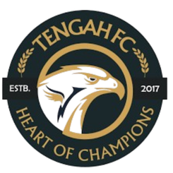 登加FC
